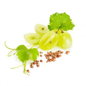 grape-seed
