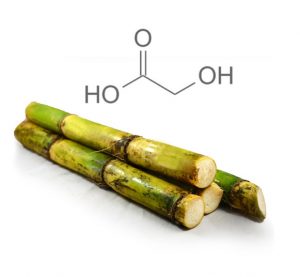 sugar-cane