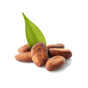 חמאת קקאו COCOA BUTTER