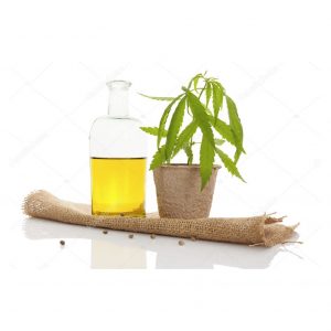 שמן זרעי HEMP HEMP SEED OIL